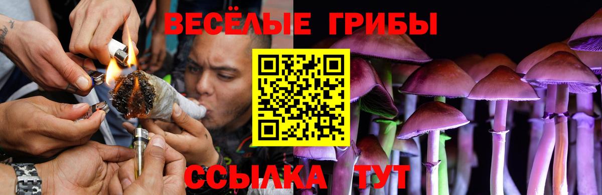Псилоцибиновые грибы Psilocybine cubensis  Вход с VPN  Соликамск 